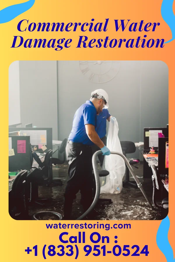 Commercial Water Damage Restoration in Littlejohn Island, ME